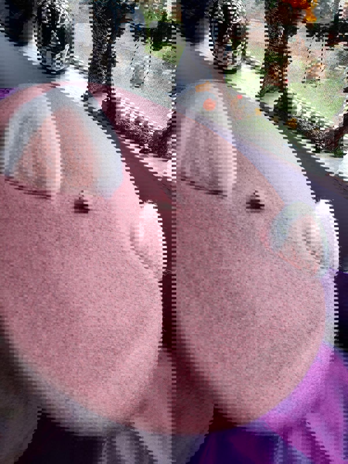 Cute Cat Ear Beret: Kawaii Wool Winter Hat & Cap (High Quality) Mauve Pink