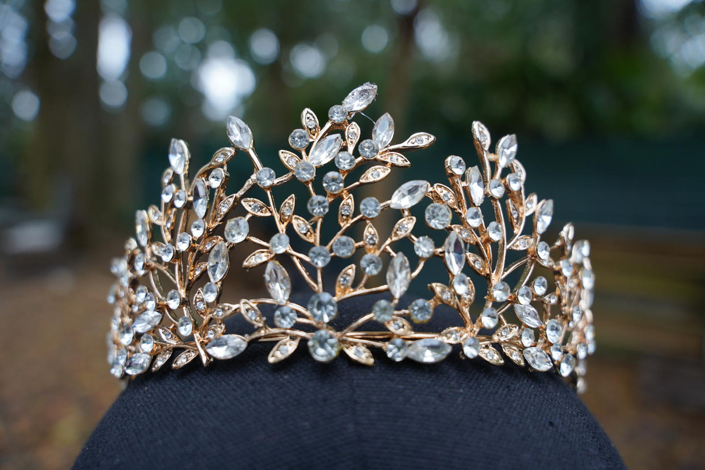 Crown Of Vines Woodland Gold Tiara Bridal Birthday Wedding Gift Diadem