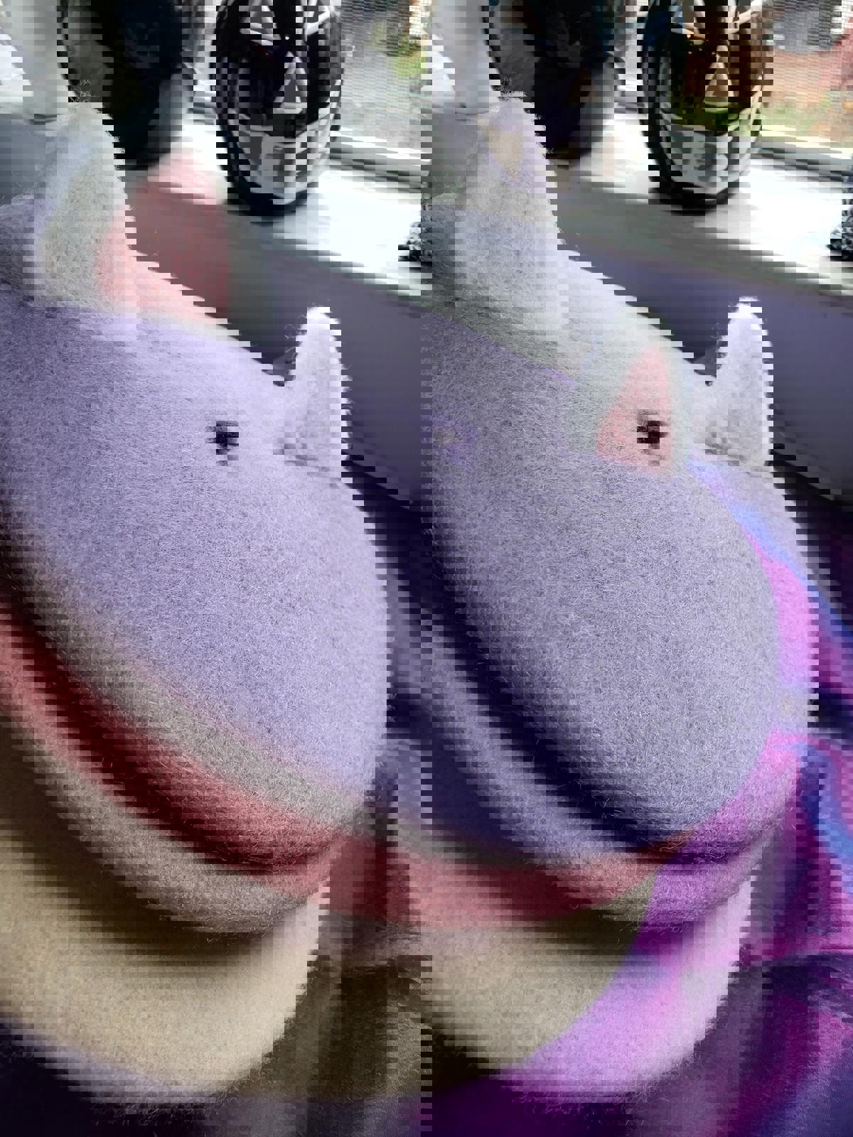 Cute Cat Ear Beret: Kawaii Wool Winter Hat & Cap (High Quality) Mauve Pink